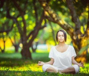 世界杯赛事速递-阿利森稳如磐石，法国队训练计划引热议